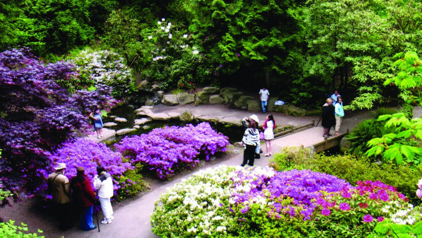 Crystal Springs Rhododendron Garden, United States